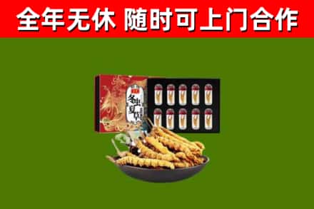 龙沙区烟酒回收冬虫夏草礼盒.jpg